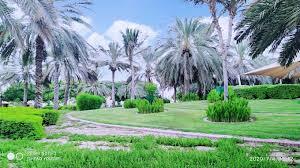 Al Qusais Pond Park