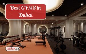 Best GYMS in Dubai
