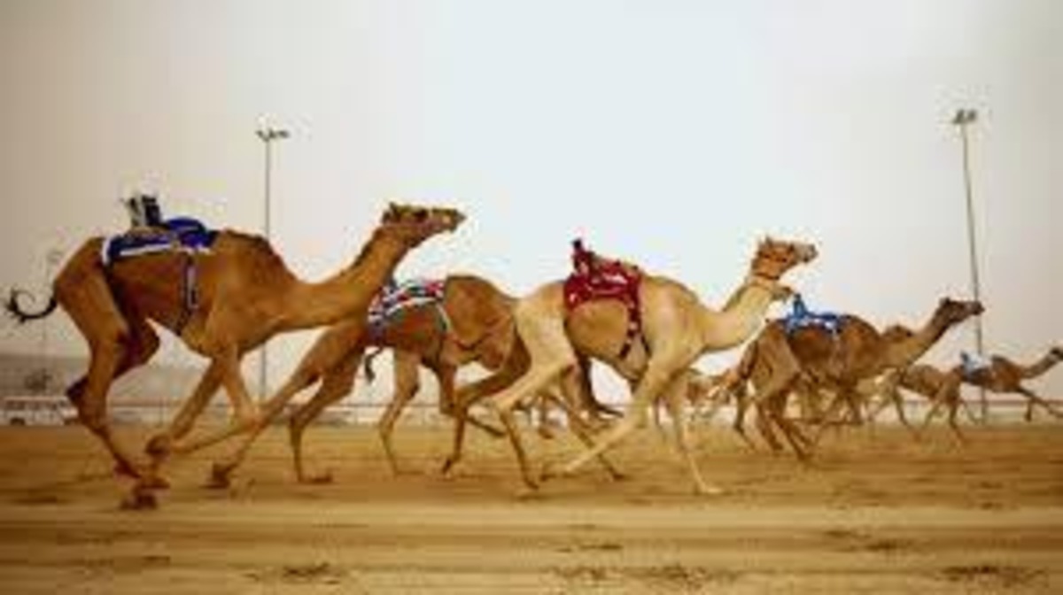 Conventional Sports of the UAE