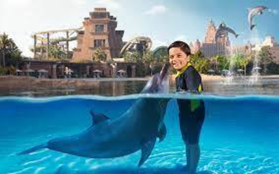 Dolphin Bay at Atlantis