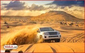 Dubai Desert Adventures