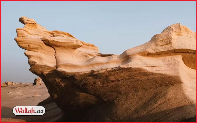 Abu Dhabi Fossil Dunes