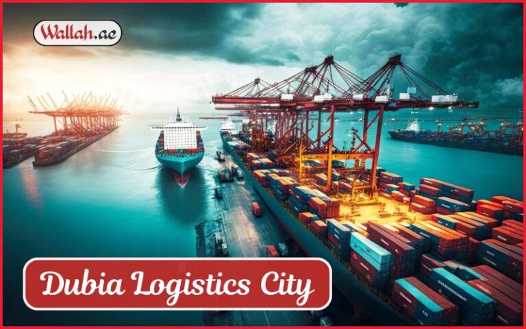 Container ship at Dubai Logistics City's port with cranes and containers, showcasing logistics infrastructure
